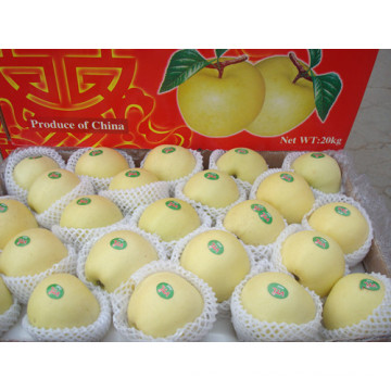 Delicious Fresh Golden Apple fornecedor de Shandong Boren